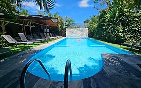 Ballena Rey Hotel